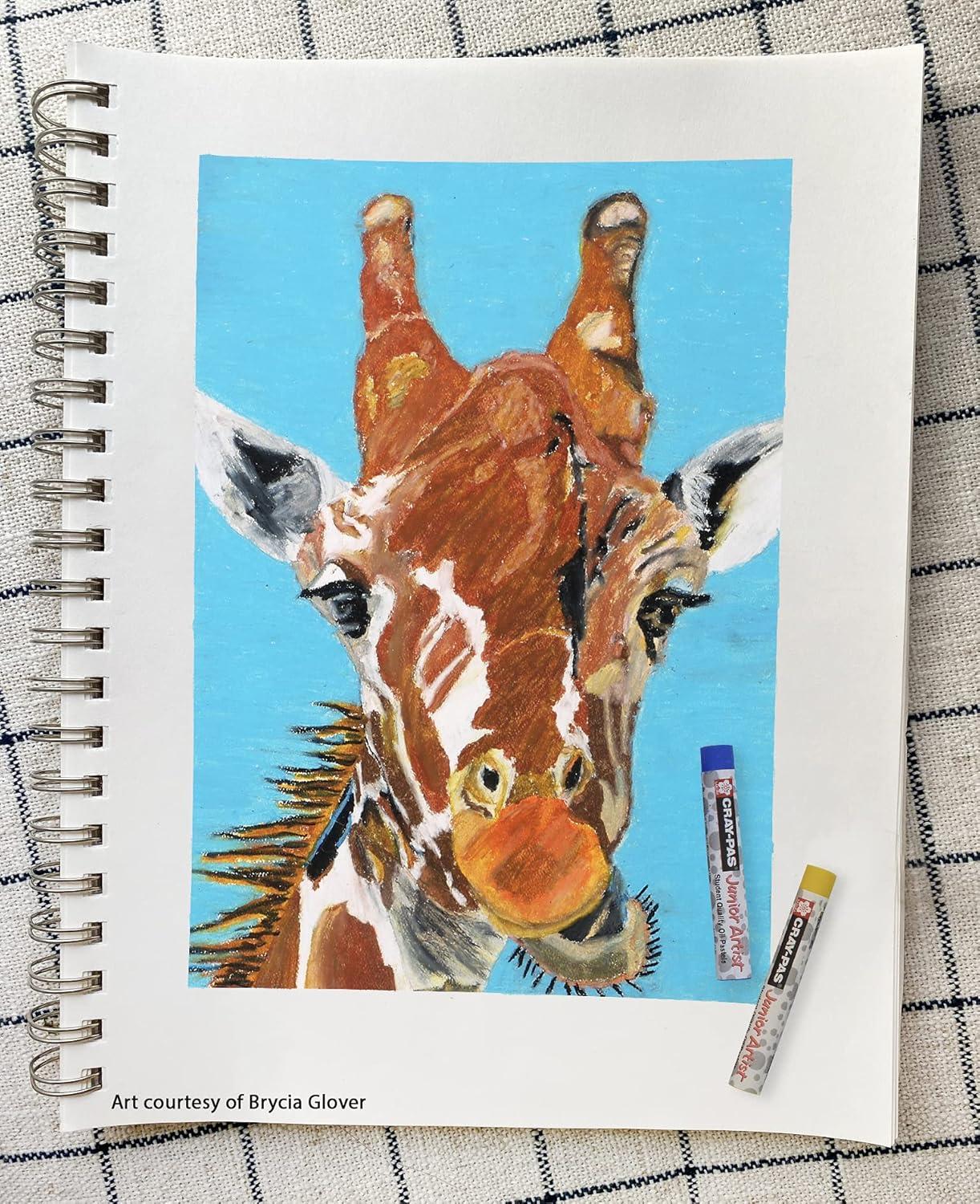 image:imageSAKURA CrayPas Junior Artist Jumbo Oil Pastel Colorpack 288 Pc Colors may vary Count50 Count Pack of 1