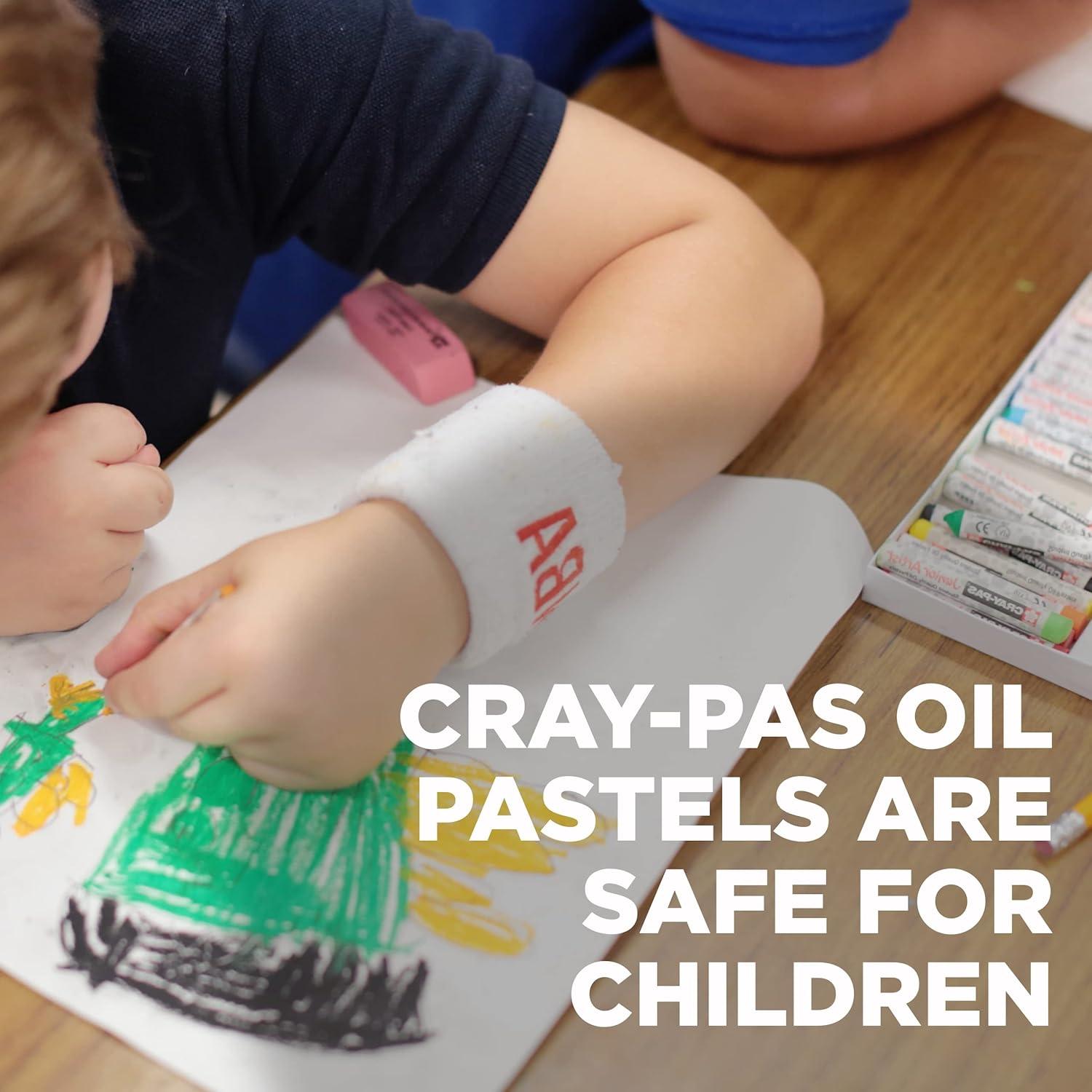 image:imageSAKURA CrayPas Junior Artist Oil Pastel Set Chubbies Pastel Size Soft Oil Pastels for Kids amp Artists 12 Colors amp Soft Oil Pastels for Kids amp Artists 50 Sticks
